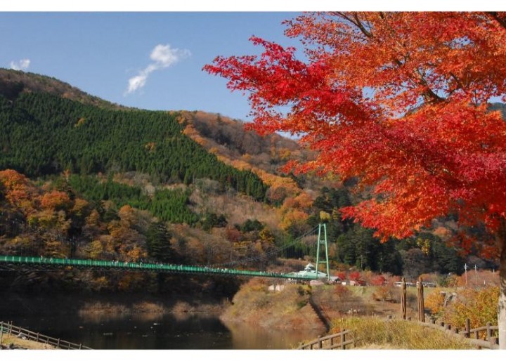 もみじ谷大吊橋（森林の駅）